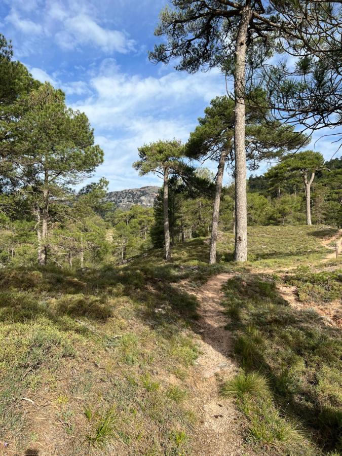 Duplex Rio Madera Apartman Segura de la Sierra Kültér fotó